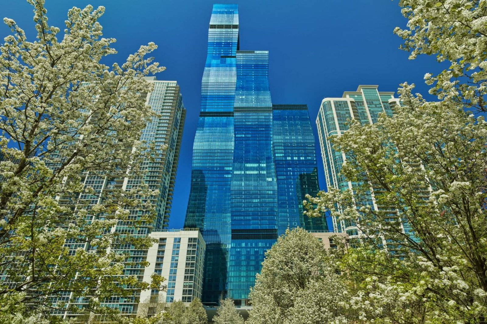The St. Regis Chicago — photo 2